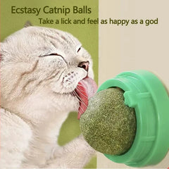 Cat Wall Sticker Ball Toy