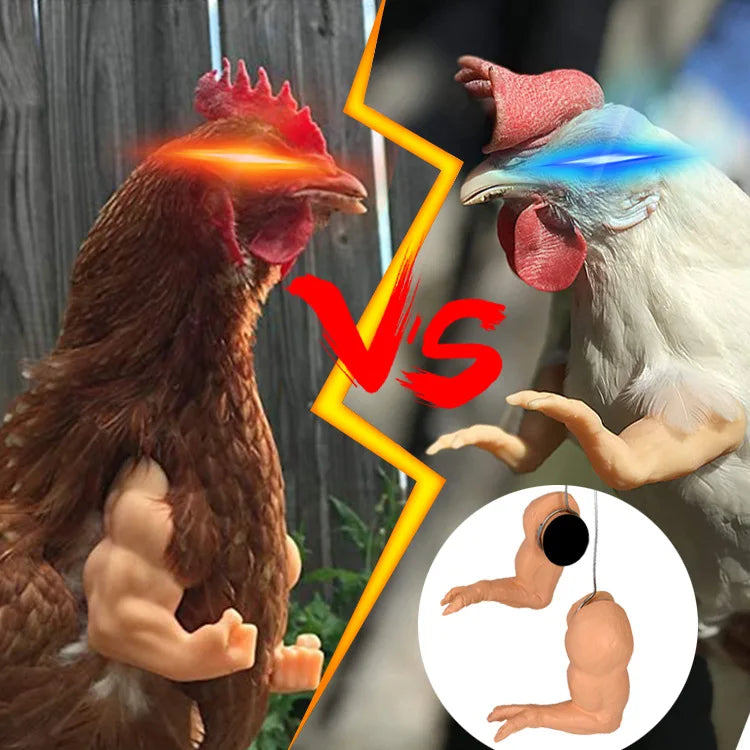 Fight Combat Chicken Arms Chicken