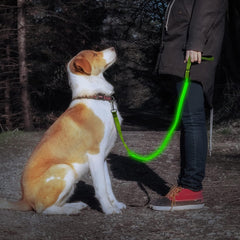 LED Dog Leash, 4FT Reflective Light up Dog Leash, Safety Flashing Dog Lead Light Glow in the Dark (Green Ⅲ)