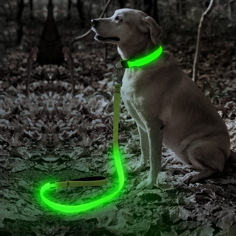 LED Dog Leash, 4FT Reflective Light up Dog Leash, Safety Flashing Dog Lead Light Glow in the Dark (Green Ⅲ)